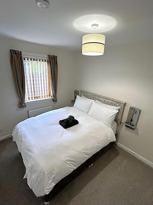 Cosy At Camden, Entire Bungalow Evanton Экстерьер фото